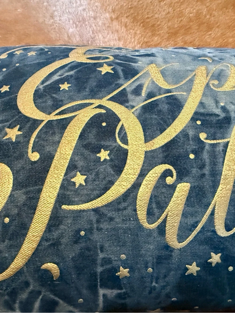 Pottery Barn Teen pb HARRY POTTER™ Expecto Patronum Blue Pillow Hedwig owl